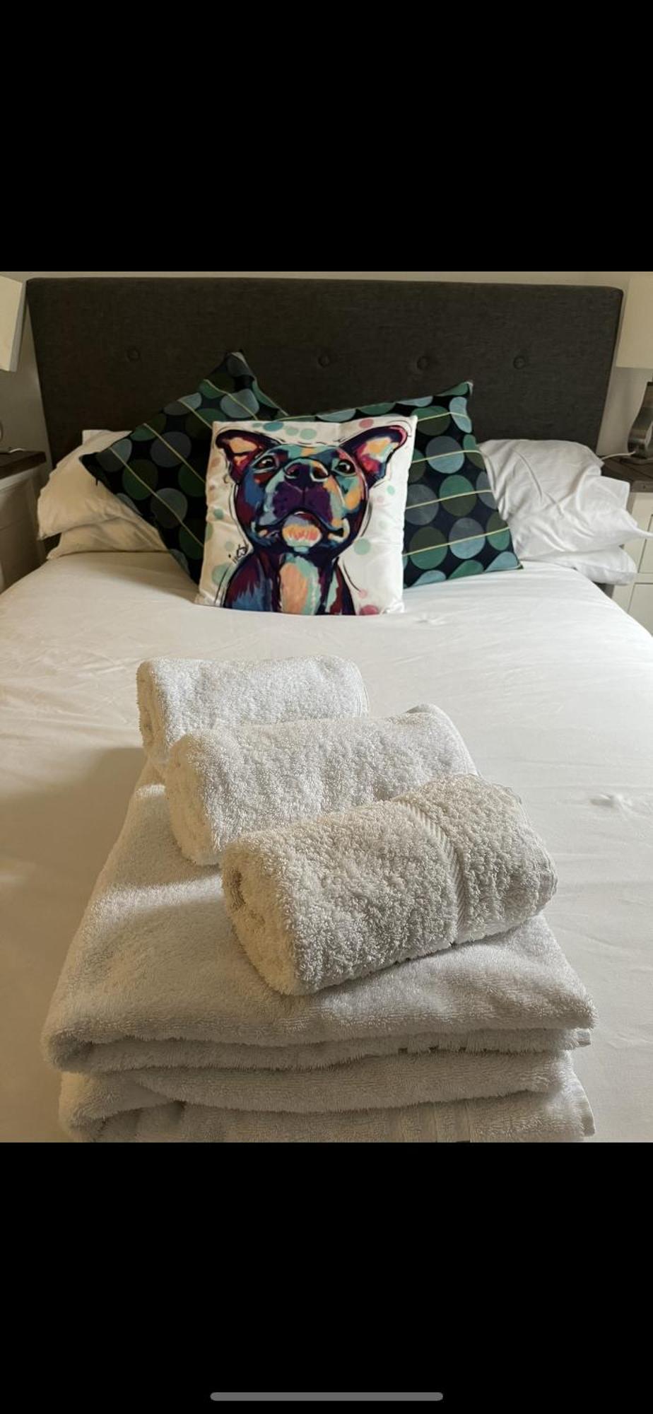 City Centre Luxury Apartments ベルファスト エクステリア 写真